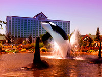 Dec. 2008 and 2009-Tulalip Casino-Washington