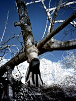 IR-Chilliwack landscape